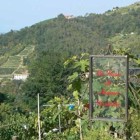 La Casa Di Nonna Carlotta *